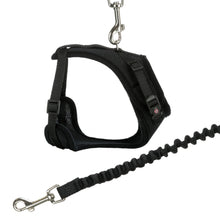 Cat Mesh Y Harness With Lead 22 To 42 Cm