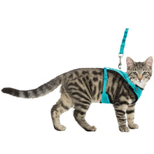 Cat Mesh Y Harness With Lead 22 To 42 Cm