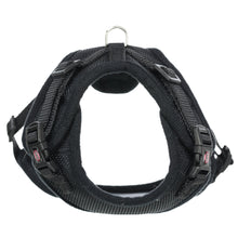 Cat Mesh Y Harness With Lead 22 To 42 Cm