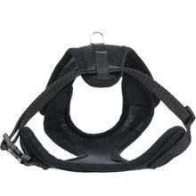 Cat Mesh Y Harness With Lead 22 To 42 Cm