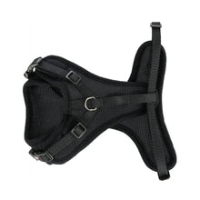 Cat Mesh Y Harness With Lead 22 To 42 Cm
