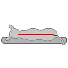 Bendson Orthopaedic Dog Cushion Grey Memory Foam